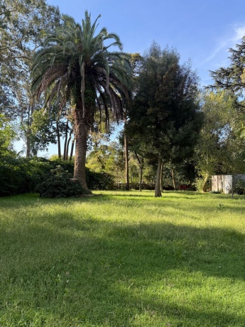 Mar del Plata, 0 , 0 ,0,Casa,En Venta,0,1205 Mar del Plata, 0 , 0 ,0,Casa,En Venta,0,1205